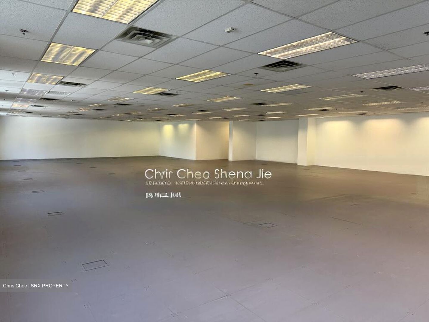 Haw Par Centre (D9), Office #474309291
